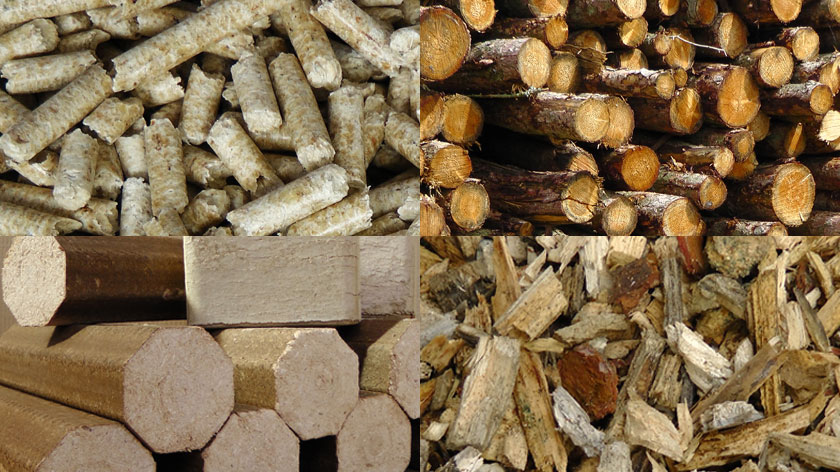 Wood Fuel products – Certified wood chip and bulk blown wood pellets